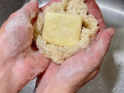 Savon de cuisine - Citron Frais