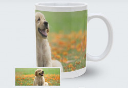 Tasse personnalisée