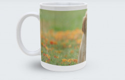 Tasse personnalisée